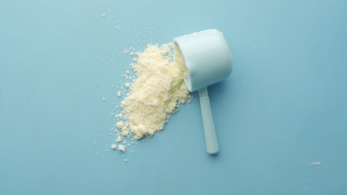 Cazo dosificador con polvo blanco, representando la creatina en polvo